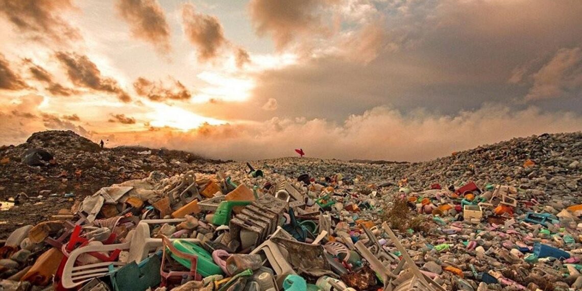 66 несанкционированных свалок в Семее были ликвидированы