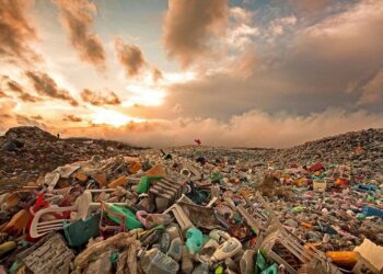 66 несанкционированных свалок в Семее были ликвидированы