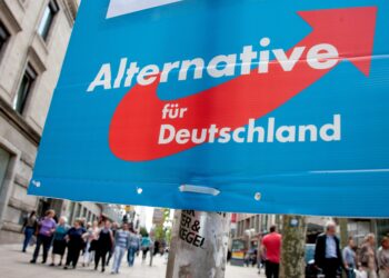 Партия «Альтернатива для Германии» подвергла критике решение отправить Украине танки Leopard 2