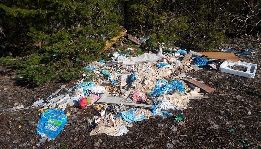 Внесены поправки в Уголовный кодекс Казахстана по поводу вандализма и экологических правонарушений