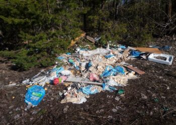 Внесены поправки в Уголовный кодекс Казахстана по поводу вандализма и экологических правонарушений