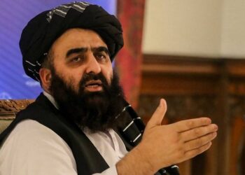 Афганистан раскритиковал Узбекистан за остановку подачи электроэнергии