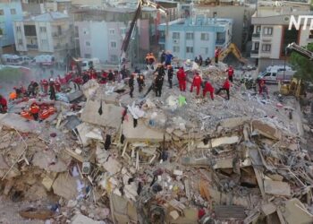 Число погибших в результате землетрясения в Турции выросло до 12 391 человек