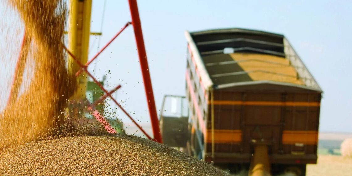 На севере Казахстана раскрыли схему серого импорта российского зерна