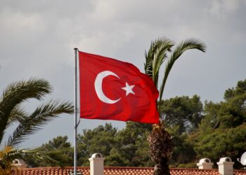 Эрдоган объявил в Турции семидневный общенациональный траур