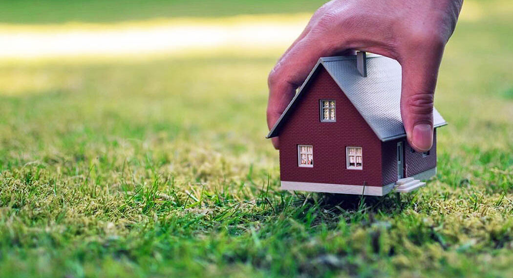 В ВКО земельные участки бывшего чиновника области возвращены государству