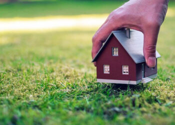 В ВКО земельные участки бывшего чиновника области возвращены государству