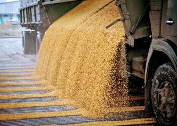 Объем поставок из Казахстана в Китай вырос на 134%