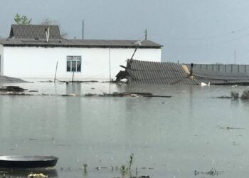 Несколько районов на юге Казахстана подтопило из-за обильных дождей