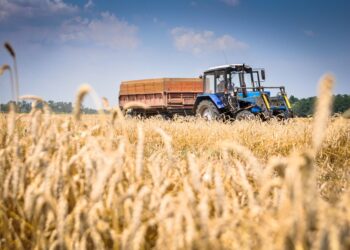 Заявки на субсидии более чем на 17 млрд тенге подали фермеры Казахстана