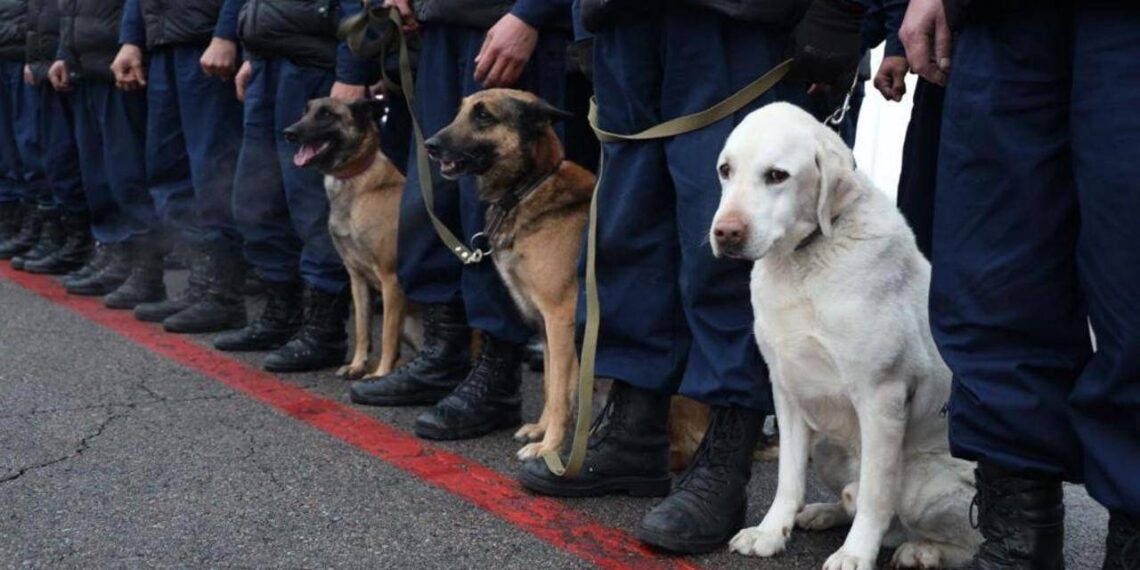 Казахстанские спасатели эвакуировали трех человек из-под завалов