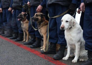 Казахстанские спасатели эвакуировали трех человек из-под завалов