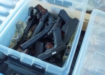 В Алматинской области нашли тайник с оружием