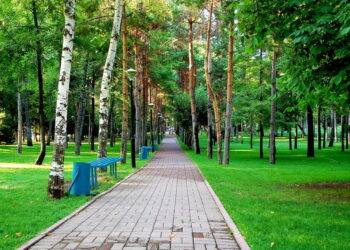 В Алматы построят новый парк