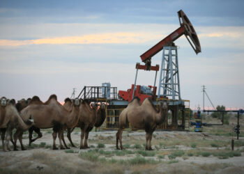 Министр энергетики озвучил сроки поставки казахстанской нефти в Германию