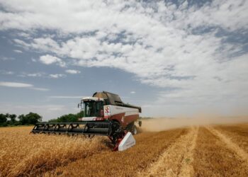 Инвестиции агропромышленного комплекса в Казахстане увеличились на 10%