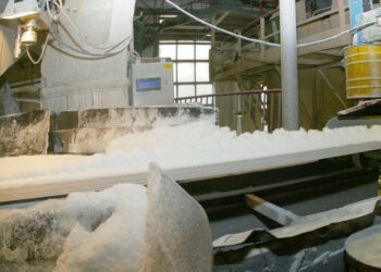 Сахарные заводы в Казахстане получили 18,3 млрд тенге