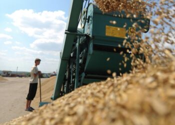 Конец зерновой сделки означает крах экономики Украины