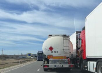 Скопление фур на границе Казахстана и Китая прокомментировали в МИИР