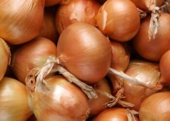 Казахстанские фермеры смогут вывезти 20 тысяч тонн лука из республики