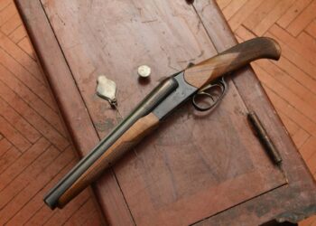 В Туркестанской области полицейские изъяли 51 единицу незарегистрированного оружия