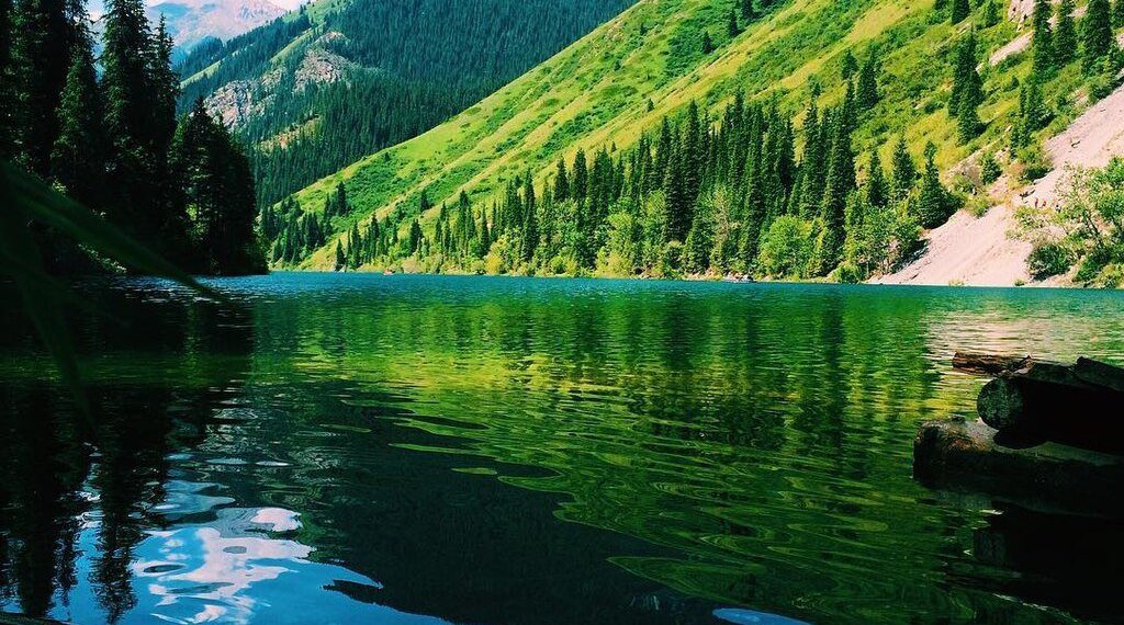 Браконьеры Казахстана нанесли ущерб республике в размере 1,2 млрд тенге