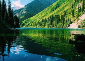 Браконьеры Казахстана нанесли ущерб республике в размере 1,2 млрд тенге