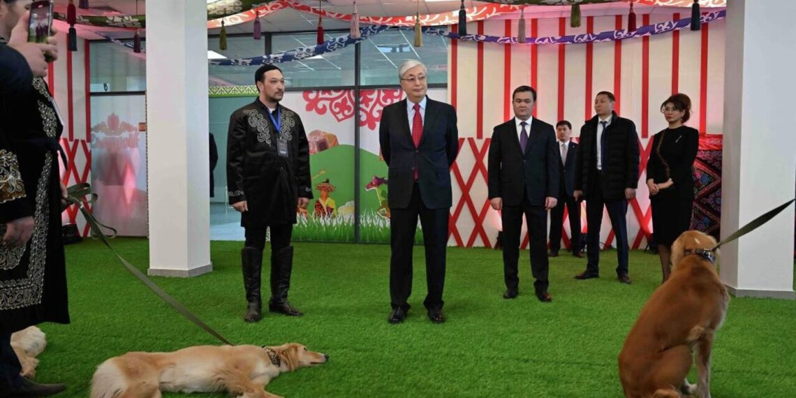 Касым-Жомарт Токаеву подарили щенка по кличке Наурыз