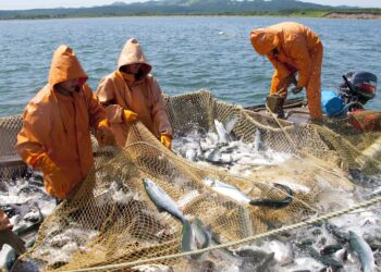 В Казахстане введены ограничения на рыболовство