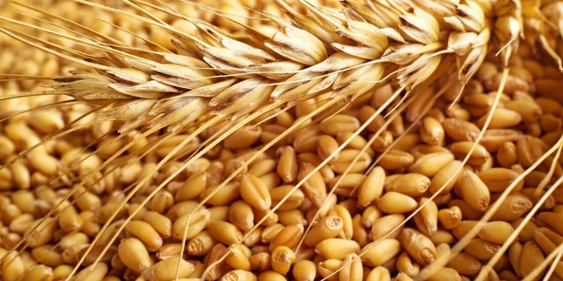 Казахстан планирует ограничить ввоз пшеницы автотранспортом