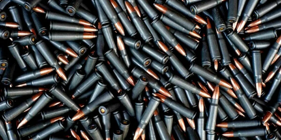 Схрон с боеприпасами нашли в парке Талдыкоргана