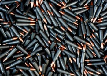 Схрон с боеприпасами нашли в парке Талдыкоргана