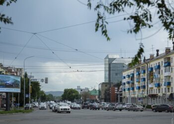 Испытательный срок перед выдачей водительских прав могут ввести в Казахстане