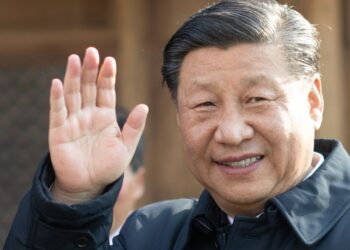 Глава Китая пытается расколоть Запад — СМИ