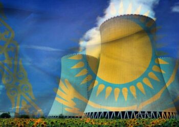 Лидер Казахстана встретился с генеральным директором МАГАТЭ