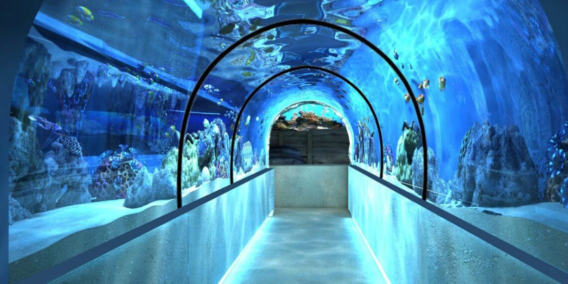В Алматы может появится океанарий