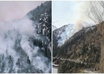 При тушении пожара в Медеу погиб один спасатель