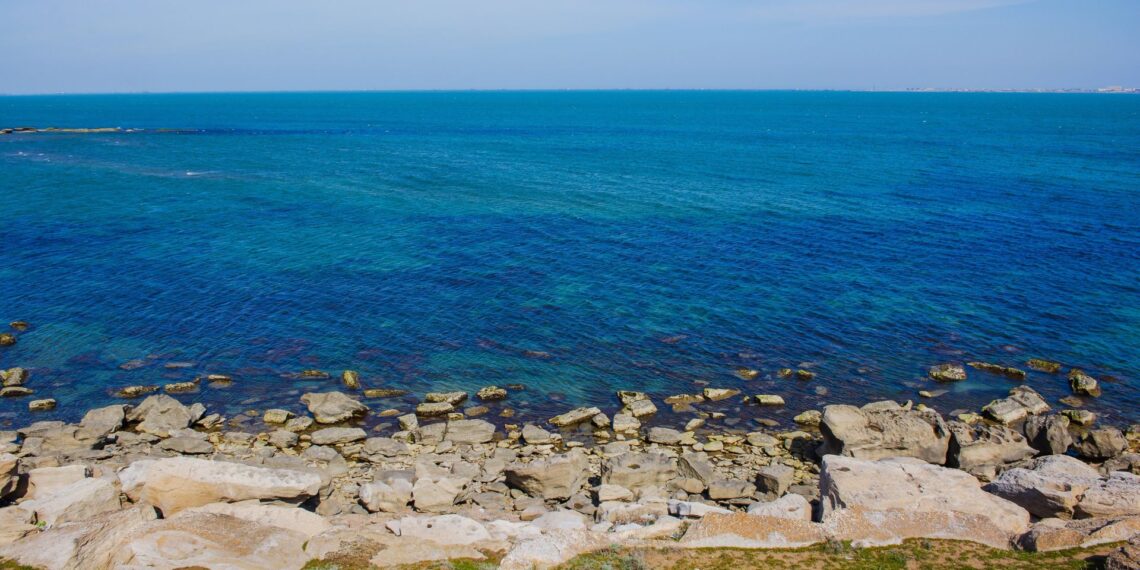 На побережье Каспия обнаружили тела тюленей