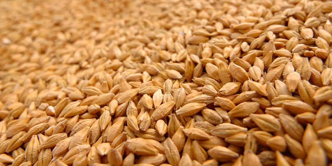 В порту Баку планируется возвести терминал для казахстанского зерна