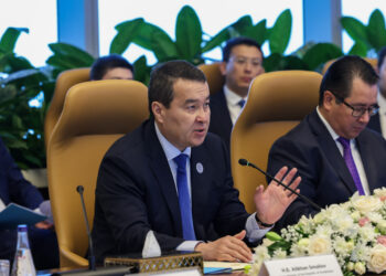 Алихан Смаилов встретился с руководителем холдинга PIH