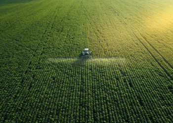 Некоторые виды удобрений из Казахстана смогут экспортировать только их производители