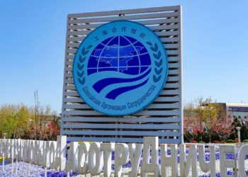 Саммит ШОС пройдет 4 июля в формате онлайн