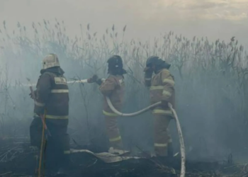 Крупный пожар в Астане локализован