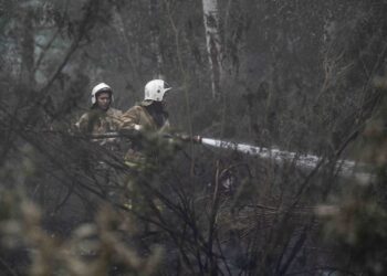 Количество жертв от лесного пожара увеличилось до 15 человек