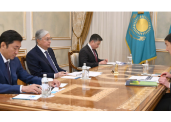 Токаев принял председателя правления АО «НК «КазМунайГаз»