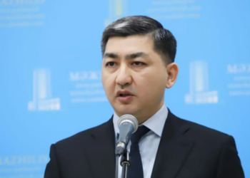 Генпрокуратура озвучила три возможных версии возникновения лесного пожара