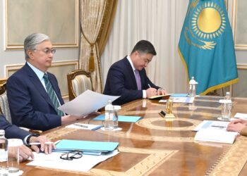 Токаев принял министра экологии и природных ресурсов