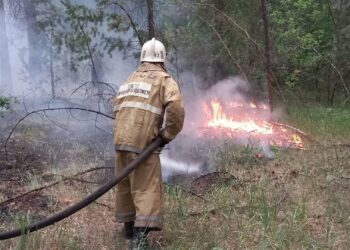 Нашли ещё 11 тел погибших от пожара в Абайской области