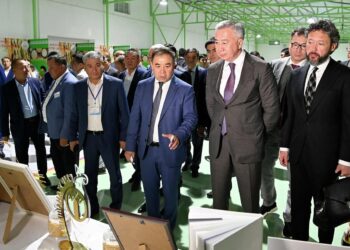 Меморандумы на 3 млрд тенге заключили СПК и предприниматели Казахстана