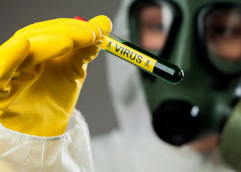 Американские биолаборатории в Кыргызстане работают над сибирской язвой